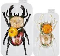 ISSEVE - Moldes de resina de insectos 3D de silicona, 2 moldes de resina  epoxi realistas, moldes de silicona de escarabajo realistas 3D para resina  ...