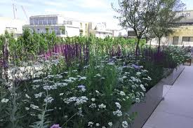 Discover easy, stylish ways to keep gardening in winter from experts at hgtv. Selfridges Roof Terrace