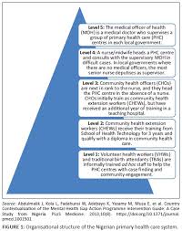 Facilitators And Barriers To Effective Primary Health Care