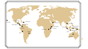 Coffee Bean Types