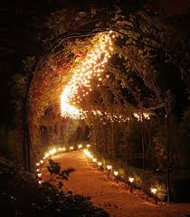 Pin By Nicole Kirchhoff Evans On I Don T Plan My Wedding When I M Not Engaged Wedding Lights Outdoor Forest Wedding