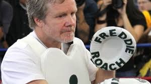 Freddie Roach would 'love' to coach champ Nathan Cleverly