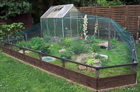 Gehegebau Tortoise Habitat Tortoise House Tortoise Enclosure