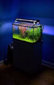 Siapkan aquarium bersih dan kosong. 9 Langkah Membuat Aquarium Di Rumah Dengan Mudah