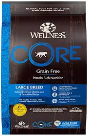 What Is The Best Dog Food For A Great Dane