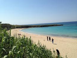Nome spiaggia le migliori per i viaggiatori con più recensioni. Preziosa Puglia Questa Mattina Passeggiata Per Le Spiagge Di Taranto Spiagge Passeggiate Puglia