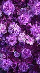 Image About Beautiful In Passion Of Purple By Lucian Flower Aesthetic Purple Flowers Wallpaper Purple Wallpaper