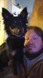 Is this dog missing in Trumbull County?