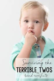 Read the reasons you might consider joining one. Surviving The Terrible Twos Shaping Up To Be A Mom Terrible Twos Good Parenting Parenting Toddlers
