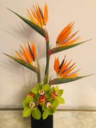 Birds Of Paradise And Green Cymbidium Orchids Orchid Flower Arrangements Paradise Flowers Birds Of Paradise Flower