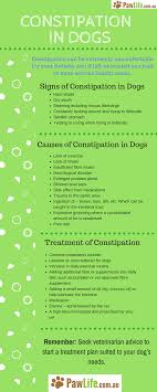Pumpkin may not help your dog with diarrhea or constipation if there is an underlying medical condition. Constipation In Dogs Paw Life