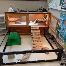 This is my custom bearded dragon enclosure. Pin On Bearded Dragon Reptiles