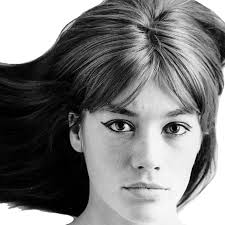 There isn't enough time in the day for me. Francoise Hardy Long Hair Icons Png Free Png And Icons Downloads