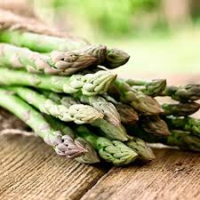 Image result for Asparagus officinalis