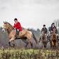 Norfolk Hunt Steeplechase Course — The Norfolk event image