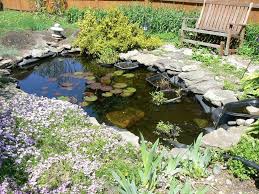 Try these backyard ideas on a budget, including diy furniture and affordable landscaping tips, to create a yard you'll love (and. Diy Water Gardens Designing A Backyard Water Garden