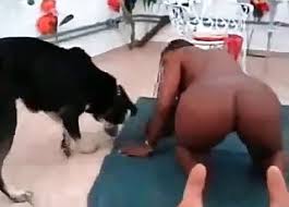 Esmer Videolar At Hayvanlarla Cinsel Iliski Porno En Populer Sayfa 1