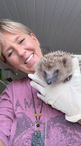 Beautiful Rose has been released tonight with Radish to Sarah’s Hedgehig  friendly garden in St Neots. So happy to have had the wonderful opportunity  to help these gorgeous hedgehogs.. , Next week I ...