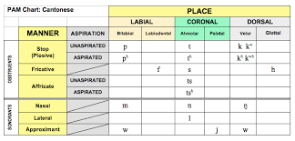 Speech Language Therapy