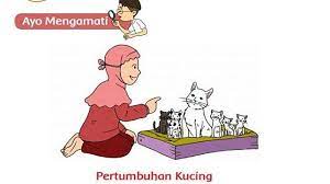 Contoh 30 soal latihan twk cpns 2021, lengkap dengan kunci jawaban. Kunci Jawaban Tema 1 Kelas 3 Sd Halaman 109 110 111 114 115 Subtema 3 Pembelajaran 2 Buku Tematik Tribunnews Com Line Today