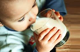 Monat werden 200 ml kuhmilch auch von ernährungswissenschaftlern empfohlen. Debatte Uber Kuhmilch Wie Gesund Ist Das Tagliche Glas Milch Wissen Stuttgarter Zeitung
