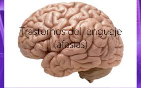La afasia es el trastorno del lenguaje que se produce como consecuencia de una patología cerebral. Afasias By