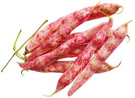 It is used in italian, portuguese (catarino bean), turkish, and greek cuisine. Borlotti Beans Kitchen Basics Harvest To Table