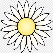 Makna jenis bunga untuk mural hitam putih dengan motif bunga. Bunga Matahari Biasa Menggambar Putih Hitam Daisy S Simetri Bunga Bunga Matahari Png Pngwing
