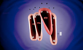 Have fun in this silly game by david li. Adult Swim Elastic Man