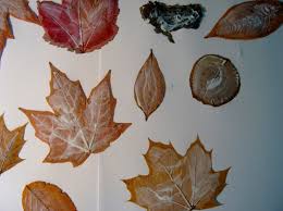 See more ideas about fall cards, cards, thanksgiving cards. Pressed Flowers Page 2 Minding My P S With Q