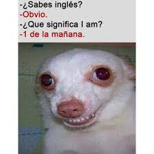 Que Significa I Am Memes Divertidos Memes Chistosisimos Memes Geniales