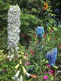 Image result for Thunbergianthus