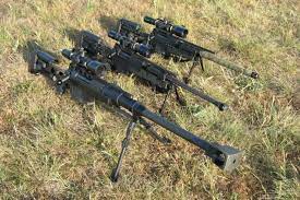 The design is based on the ultima ratio series of sniper rifles. Pgm Ultima Ratio Hecate Ll Sniperclub12