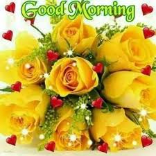 Good Morning Flower Pics Good Morning Flowers Good Morning Images Morning Flowers