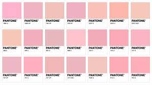 Pantone just announced, not the color, but the colors of the year 2021: Colorways Pretty In Pink Block Club