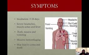 Following nearly five days after the onset of symptoms, a maculopapular rash, most prominent on the. Marburg Virus Youtube
