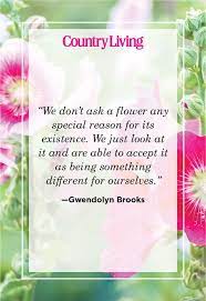 Maybe you would like to learn more about one of these? 48 Inspirational Flower Quotes Cute Flower Sayings About Life And Love