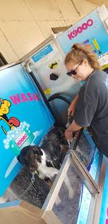 Do it yourself dog grooming means. Market Street Diy Dog Wash K9000 Home Facebook