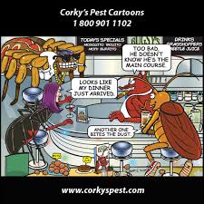 Corky's bed bug control service is a successful treatment plan with green treatment options. Corky S Pest Control Corkyspestinc Twitter