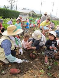 In addition to its natural beauty, it has come to represent advancement and aspiration. 10 Surprising Things About Parenting In Japan Cup Of Jo