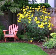 Check spelling or type a new query. Hot Summer Color Flowering Plants That Last Landscape Design In A Day
