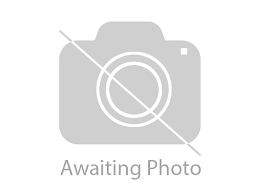 Staffordshire Bull Terrier Dogs And Puppies Staffy In Whitehaven Find Puppies And Dogs For Sale And Rehome At Freeads In Whitehaven