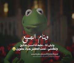 الضفدع كيرميت بوستات وكومنتات للفيس بوك Fun Quotes Funny Funny Phrases Instagram Words