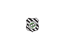 This png file is about figueirense ,logo ,football. Figueirense Futebol Clube Logo Download Logo Download Gratis Eps Cdr Ai