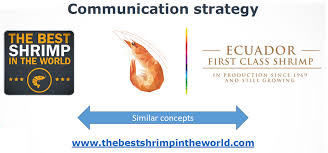 The texture is very tender compared to most shrimp. Shrimp Farming Industry In Ecuador Part 1 Global Aquaculture Advocate