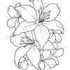 Hibiskus mit bewertung und 4444 hibiskus tattoos von tattoo bewertung de : 1