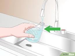 Ev Yapimi Kedi Kovucu Nasil Yapilir Wikihow