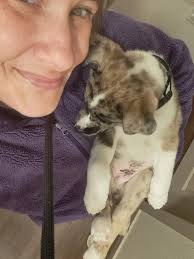 Join us for some yoga at the sanctuary. You get to relax, meet some animals  and a mini tour while supporting our rescued animals.