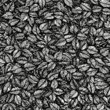 Maybe you would like to learn more about one of these? Black And White Wallpaper Modern Designs Burke Decor Burke Decor