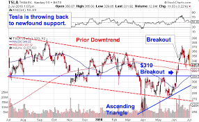 what tesla stocks wild price action means for investors